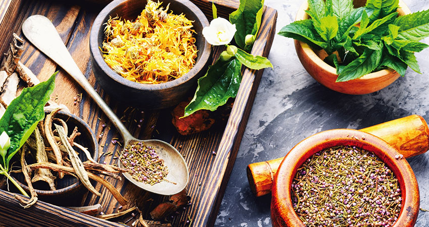 Medimark Herbal Products